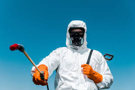 Best Outdoor Pest Control  in Tucson Estates, AZ